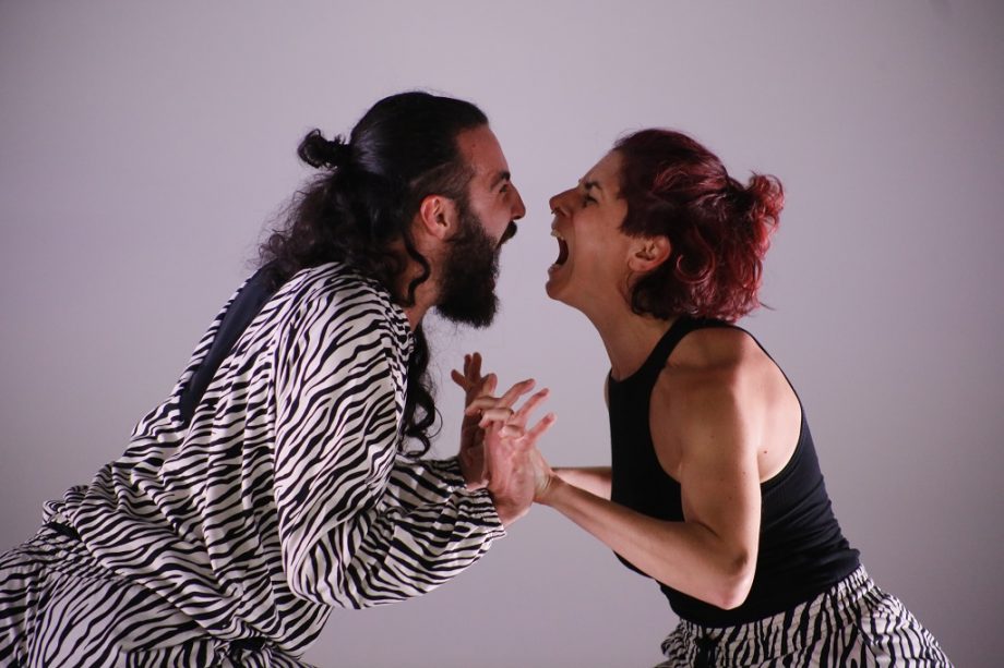 Giselda RanieriICE_SCREAM· Fabbrica Europa ·