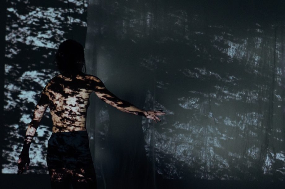 CollettivO.SCENALUNARE· Festival Fabbrica Europa ·